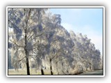 sabine_fotoalbum-001