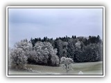 sabine_fotoalbum-002