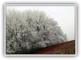 sabine_fotoalbum-003