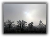 sabine_fotoalbum-004