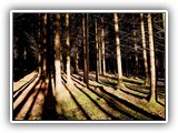 sabine_fotoalbum-005