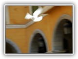 sabine_fotoalbum-014