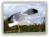 sabine_fotoalbum-015