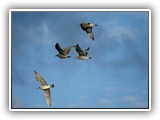 sabine_fotoalbum-022