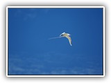 sabine_fotoalbum-023