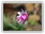sabine_fotoalbum-034