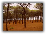 sabine_fotoalbum-047