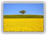 sabine_fotoalbum-050