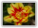 sabine_fotoalbum-054