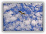 sabine_fotoalbum-057